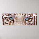 Tiger eyes posters