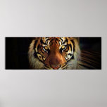 Tiger Eyes Poster - Wild Life Posters posters