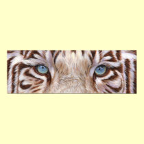 Tiger eyes posters