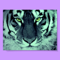Tiger Eyes posters