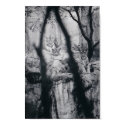 Tiger eyes posters