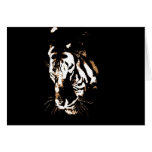 Tiger Face Cards