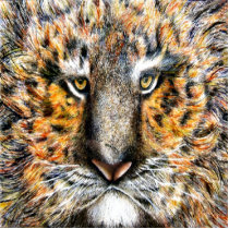 Tiger Face Photo Sculpture photo sculptures