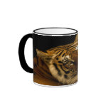 Tiger face shot Mug