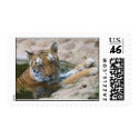 tiger face stamp by iluvsrk tiger face stamp