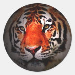 Tiger Face Stickers