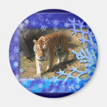 Tiger Flavio-c-18 copy Fridge Magnet