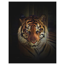 Tiger Flyer