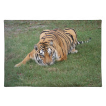 Tiger Friends-001 placemats