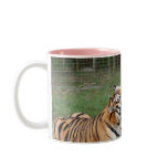 Tiger Friends-007 Coffee Mug