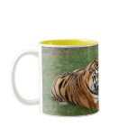 Tiger Friends-008 Mugs