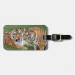 Tiger Friends-009 Travel Bag Tags