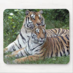tiger-friends-b-1 mousepads