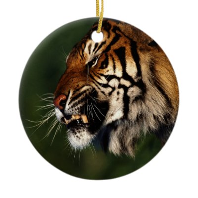 Tiger Head Close Up Christmas Tree Ornament