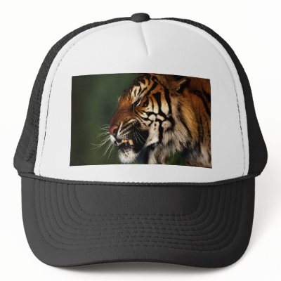 Tiger Head Close Up Hat