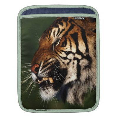 Tiger Head Close Up iPad Sleeves