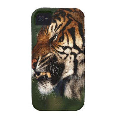Tiger Head Close Up iPhone 4 Case