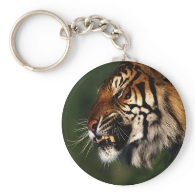 Tiger Head Close Up Keychains