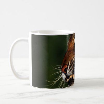 Tiger Head Close Up Mug