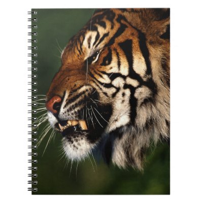 Tiger Head Close Up Notebook