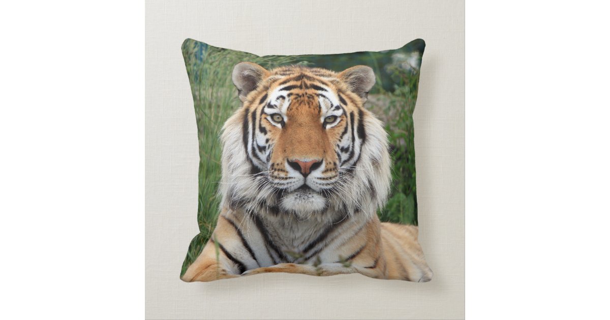 tiger face cushion