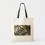 Tiger Head, Right Side Canvas Bags