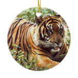 Tiger Holiday Ornament