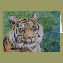 tiger in bamboo card cards