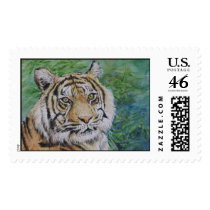 Tiger in Bamboo Stamp