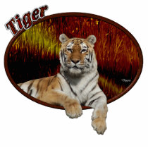 Tiger In Oval photo sculptures
