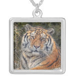 Tiger in Snow Flurry Necklace