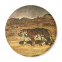 Tiger in the Savanna magnets