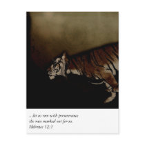 Tiger Inspirational Encouragment to Run the Race! postcards