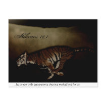 Tiger Inspirational Encouragment to Run the Race! postcards