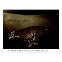 Tiger Inspirational Encouragment to Run the Race! postcards