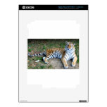 Tiger iPad 3 Skin