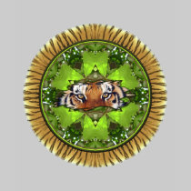 Tiger Kaleidoscope t-shirts