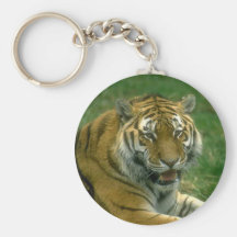 Tiger Key Chains