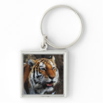 Tiger Keychain