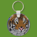 Tiger Keychain