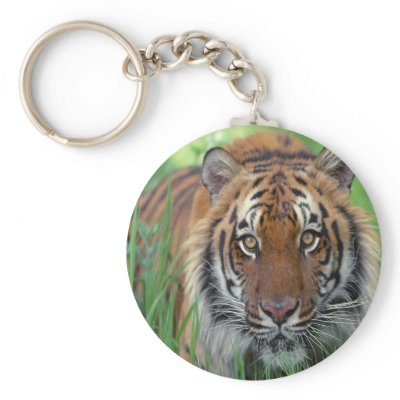 Tiger Keychain