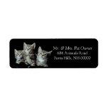 Tiger Kittens Return Address Stickers Labels