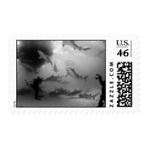 Tiger & Lemon Sharks stamps