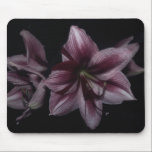 Tiger Lilies Enchanced mousepads