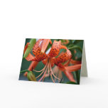 Tiger Lilies Greeting Card