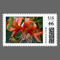 Tiger Lilies Postage Stamps by GreetingsCards Tiger Lilies Postage Stamps