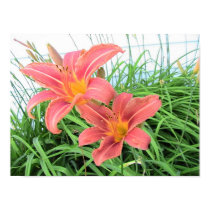 Tiger Lilies posters by Videodesigner77 Tiger Lilies posters