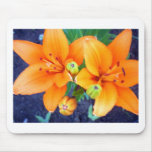 Tiger Lillies 3.jpg Mousepad