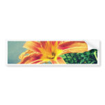 Tiger Lilly Bumper Sticker