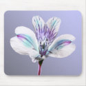 Tiger Lilly mousepads